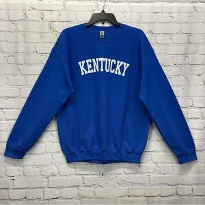 Gildan Kentucky Wildcats Sweatshirt Men's Size M Royal Blue Tailgating Gameday